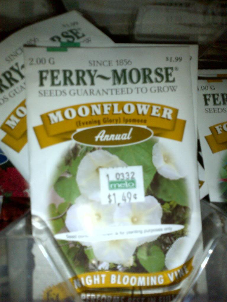 IMG-20121025-00982.jpg