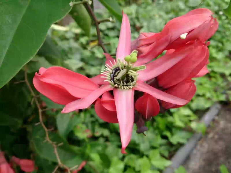 IMG-20130504-WA0000_zps318b70bd.jpg