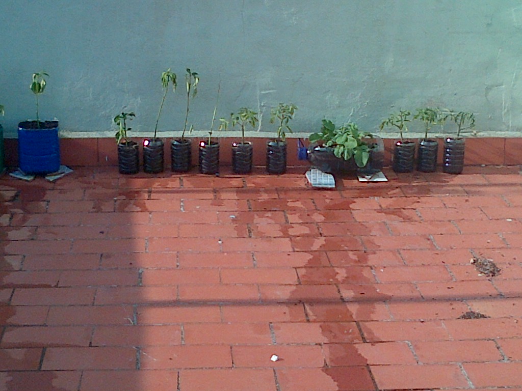 IMG-20130818-01155_zps164a28a9.jpg