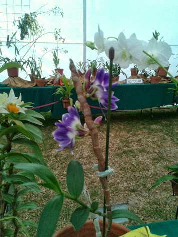 IMG-20131018-WA0003.jpg