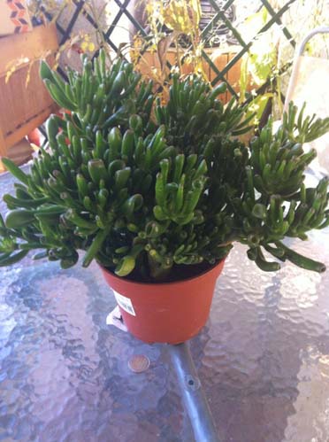 IMG-20131214-WA0002.jpg