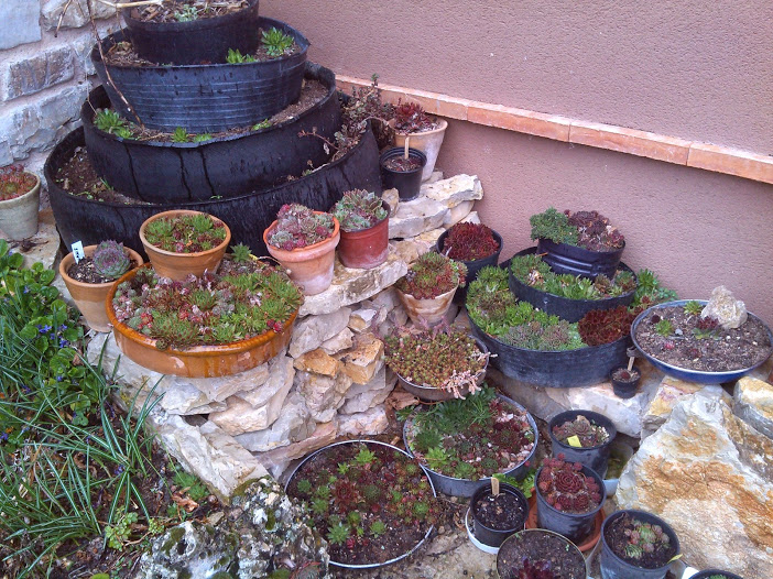IMG-20140402-WA0015.jpg