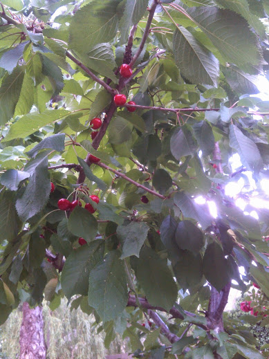 IMG-20140620-WA0005.jpg