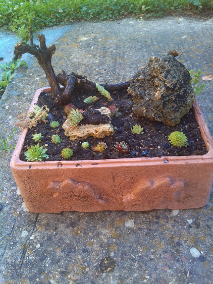 IMG-20140716-WA0016.jpg