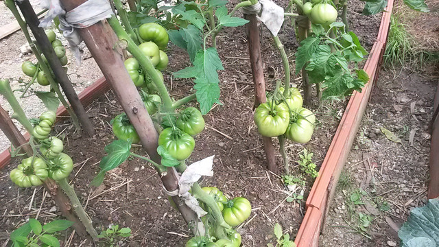 IMG-20140812-WA0010.jpg