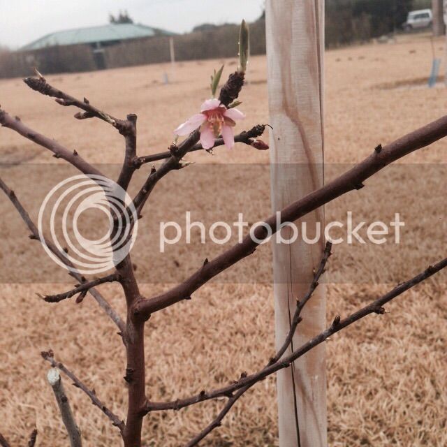 IMG-20150222-WA0045_zpszf5pvbsa.jpg