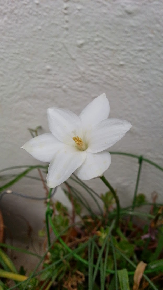 IMG-20150512-WA0002.jpe