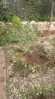 IMG-20151214-WA0000.jpg