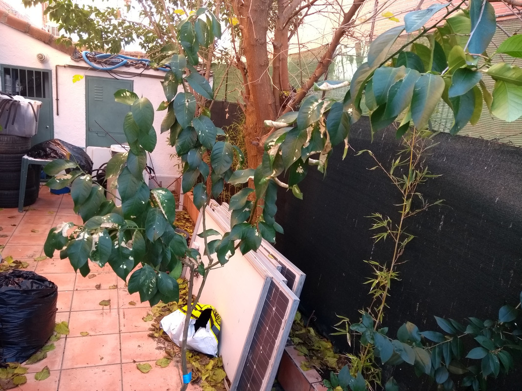 IMG-20171216-133441049.jpg