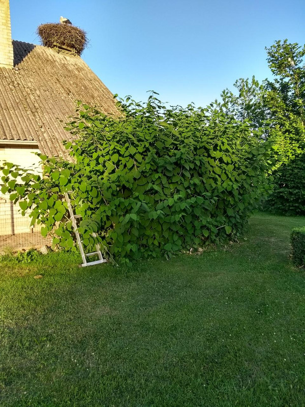 IMG-20180531-203746928-HDR.jpg