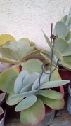 IMG-20181023-193124.jpg