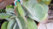 IMG-20181023-193143.jpg