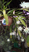 IMG-20181026-112622.jpg