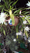 IMG-20181026-112623.jpg