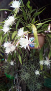 IMG-20181026-112624.jpg