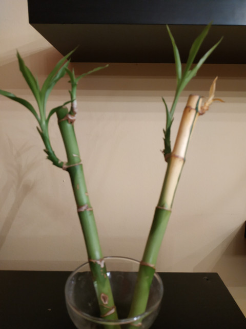 IMG-20181027-202407.jpg