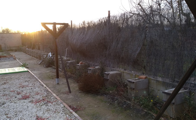 IMG-20181122-172024.jpg