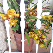 IMG-20181126-095720.jpg