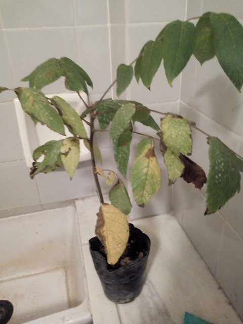 IMG-20181228-192251736.jpg