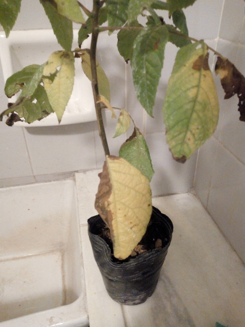 IMG-20181228-192255218.jpg