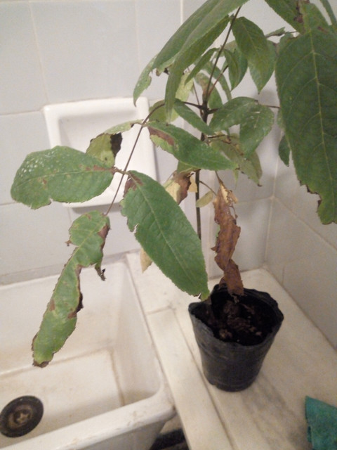 IMG-20181228-192303762.jpg