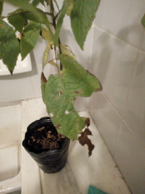 IMG-20181228-192316235.jpg
