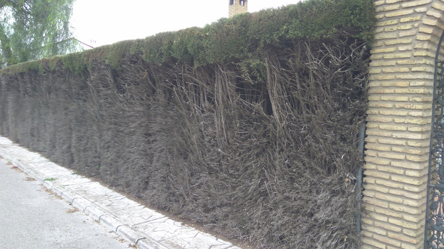 IMG-20190129-155134.jpg
