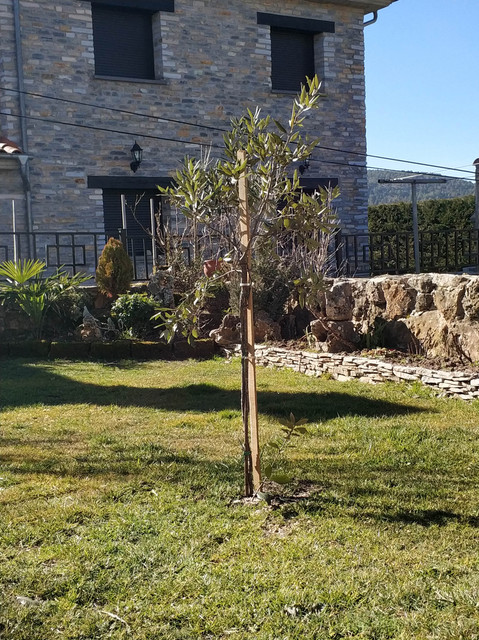 IMG-20190216-123742.jpg
