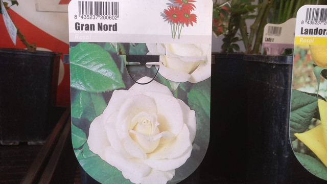 IMG-20190225-WA0002.jpg
