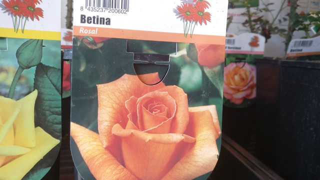 IMG-20190225-WA0004.jpg