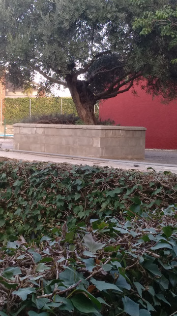 IMG-20190305-180856.jpg