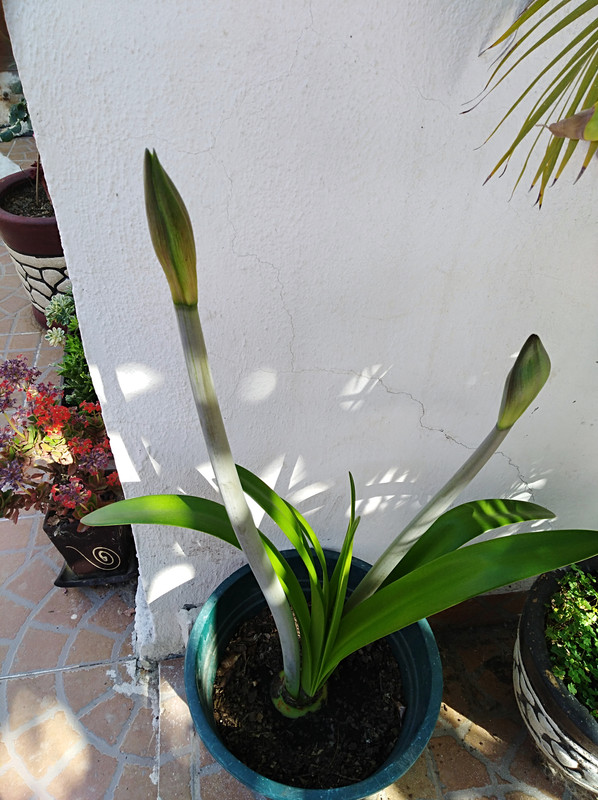 IMG-20190306-161007.jpg