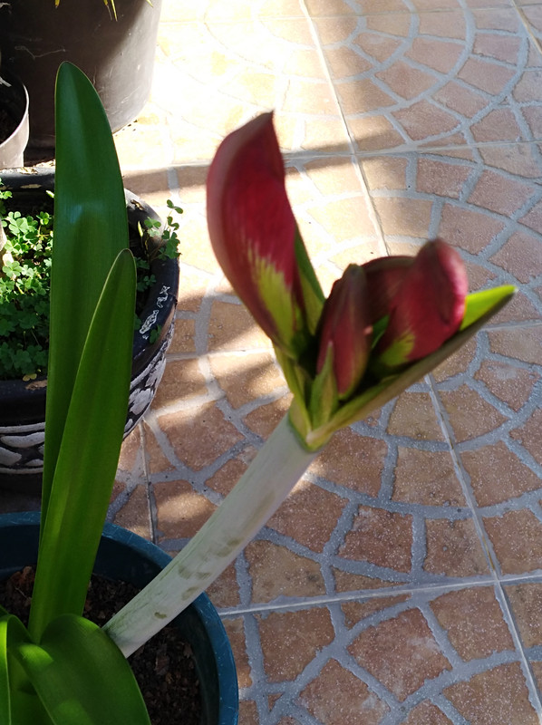 IMG-20190308-165646.jpg