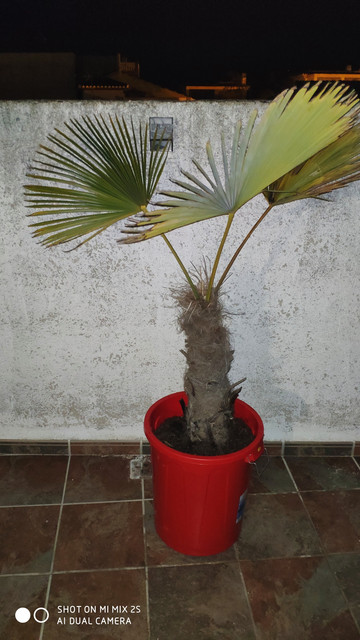 IMG-20190419-215413.jpg