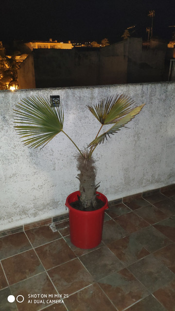 IMG-20190419-215419.jpg