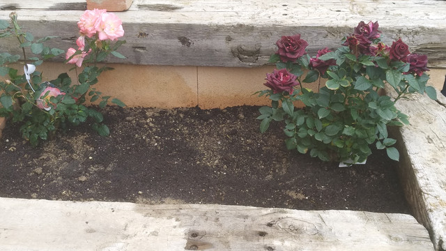 IMG-20190424-154716.jpg