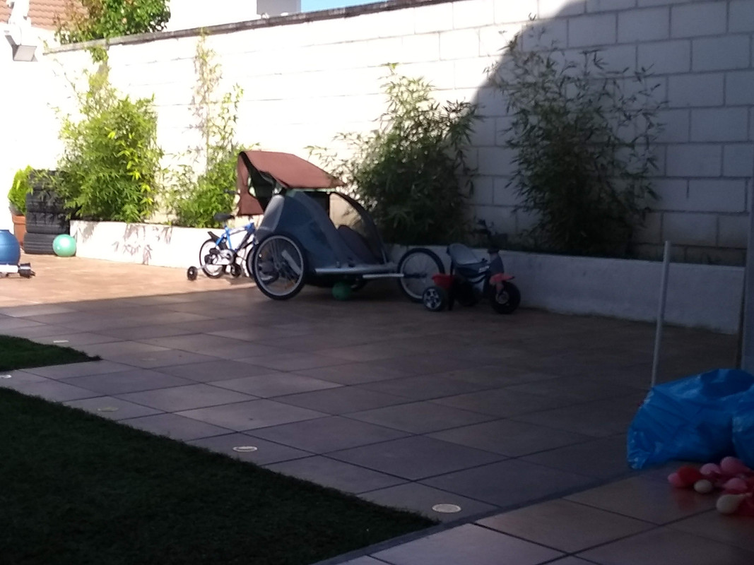 IMG-20190428-172957018.jpg