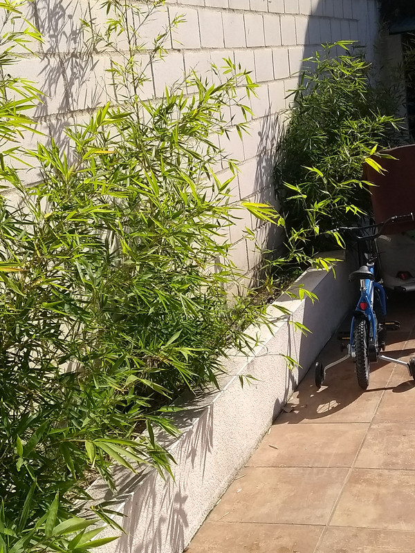 IMG-20190428-173050448.jpg