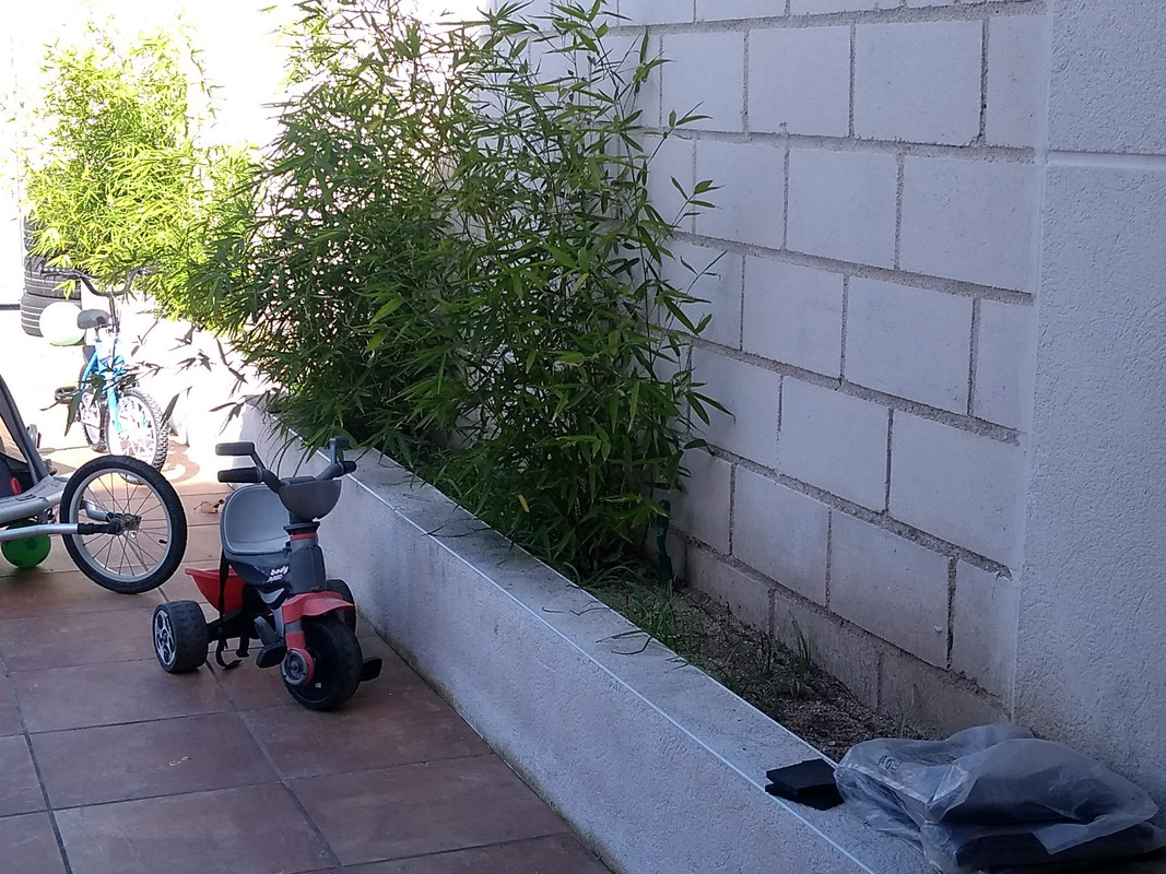 IMG-20190428-173201387.jpg