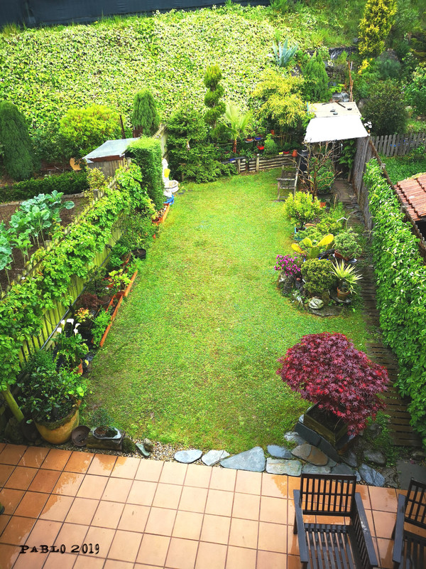 IMG-20190507-133513-jardin.jpg