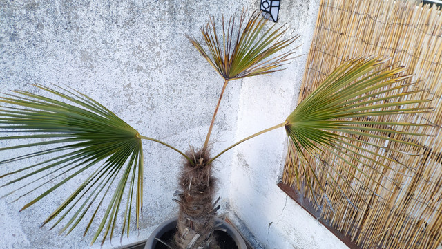 IMG-20190508-210410.jpg