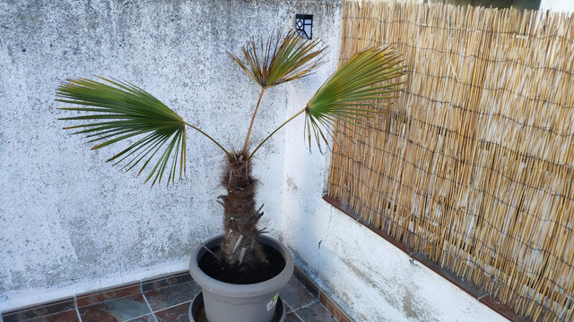 IMG-20190508-210413.jpg