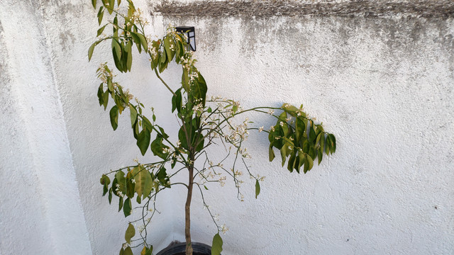 IMG-20190508-210422.jpg