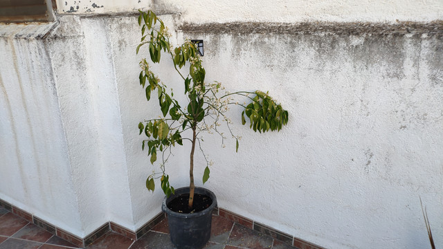 IMG-20190508-210427.jpg