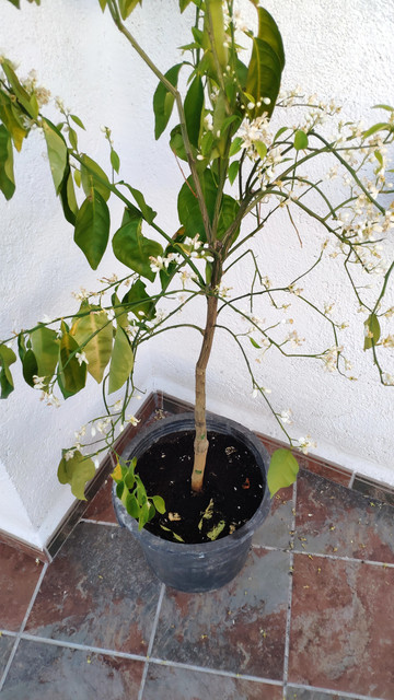 IMG-20190508-210436.jpg