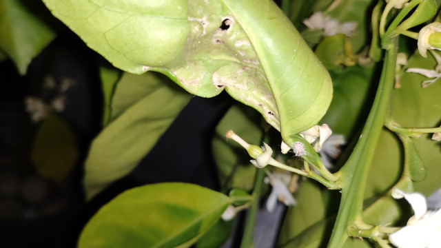 IMG-20190512-001020.jpg