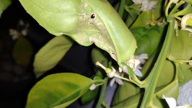 IMG-20190512-001035.jpg