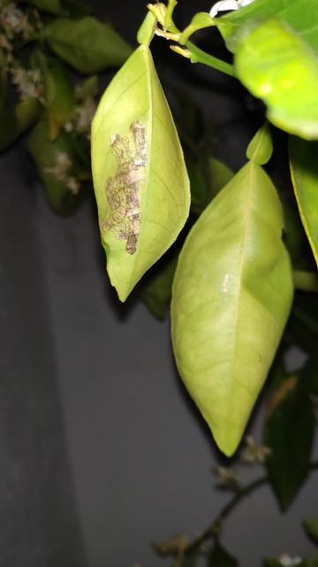 IMG-20190512-001110.jpg