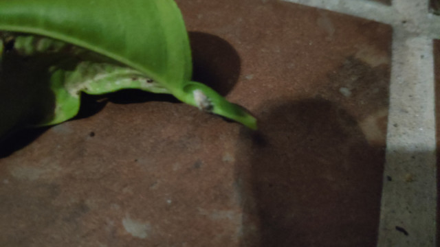 IMG-20190512-002002.jpg