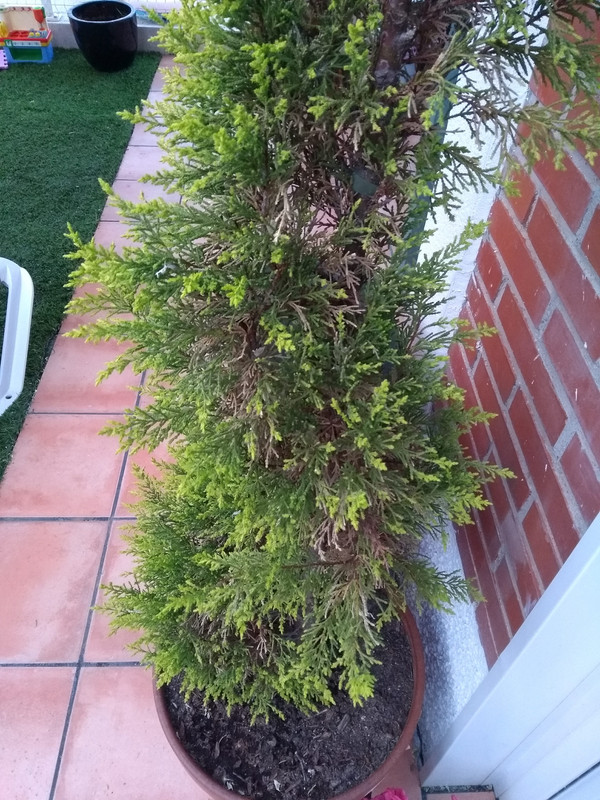 IMG-20190512-211004013.jpg